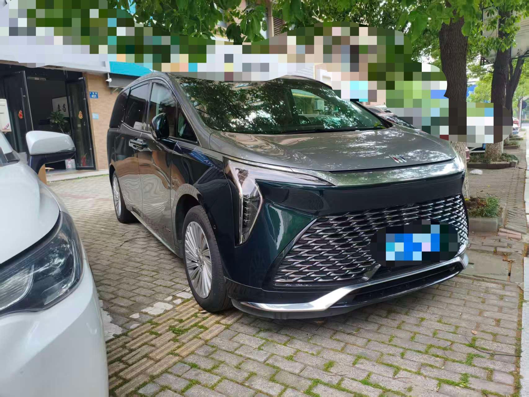 Century 2023 2.0T 4-seat Private Edition 3