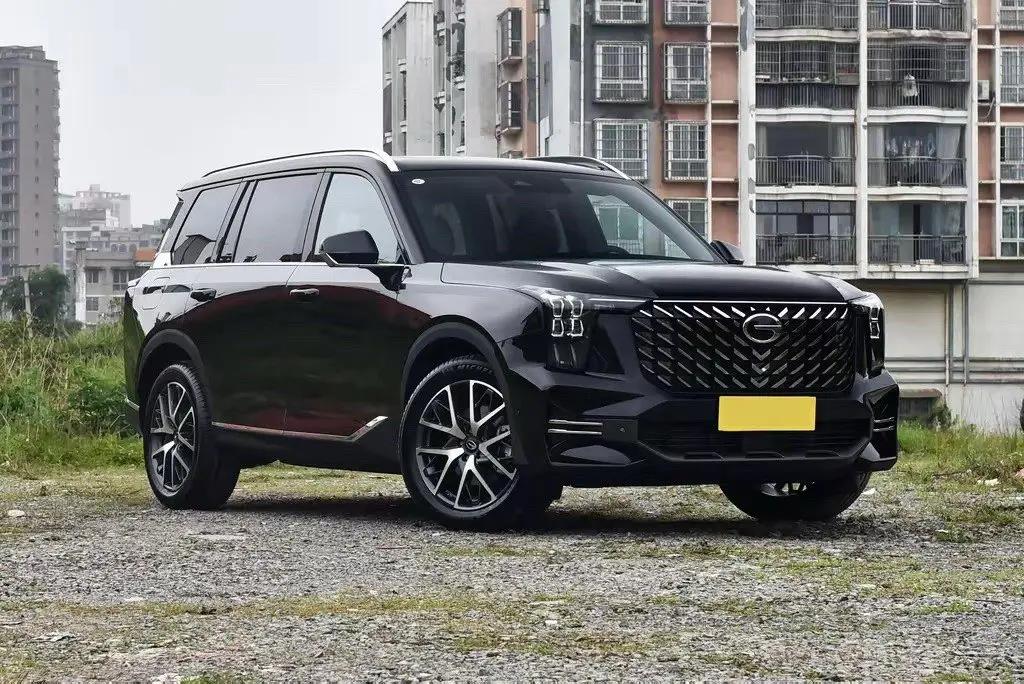 Chuanqi 2025 GS8 2.0TGDI Pilot Series 4-wheel Drive Deluxe Edition 5-seat Automatic Gear 2