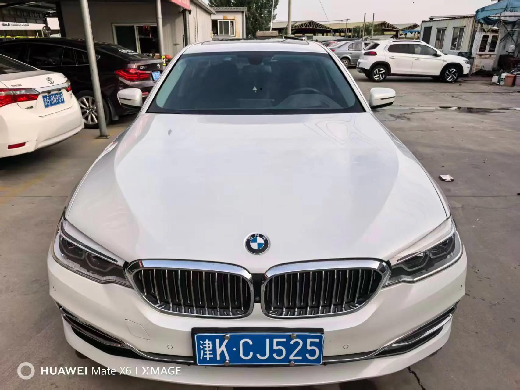 BMW 5 Series 2020 530Li Executive Luxury Suit 2