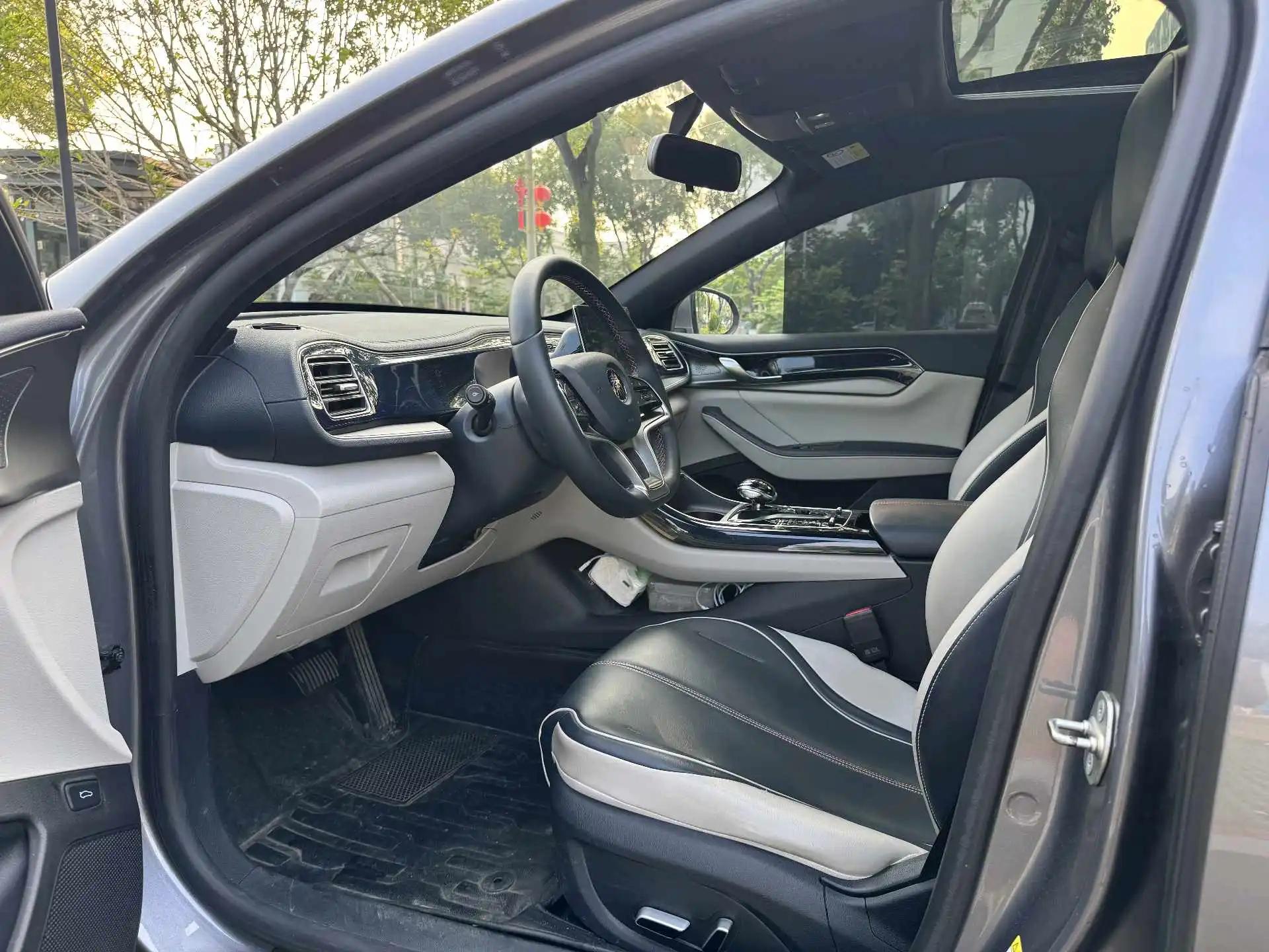 Qin PLUS 2021 EV 400KM Luxury Model 4