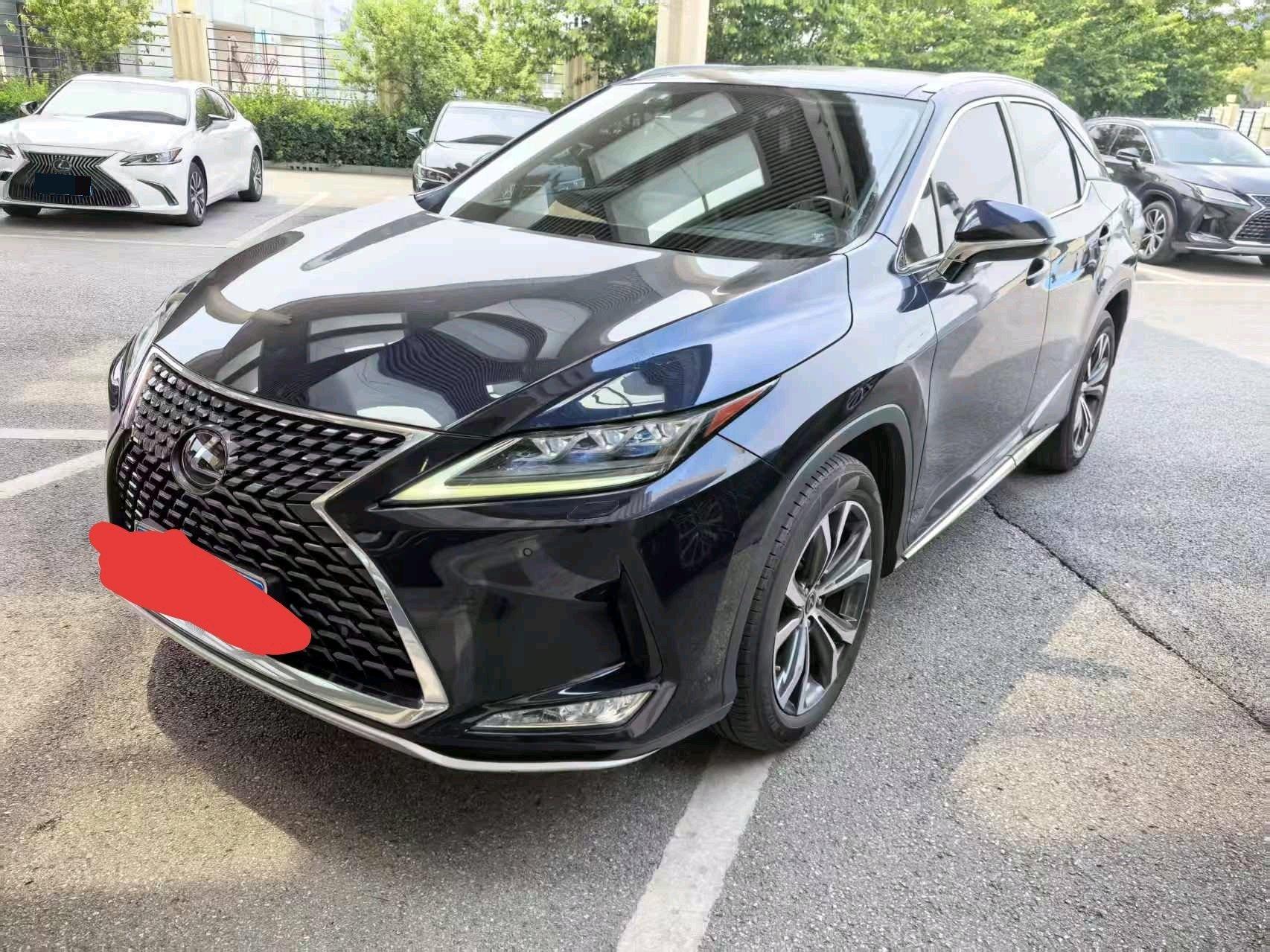Lexus RX 2020 300 four-wheel drive elegant version of the national v