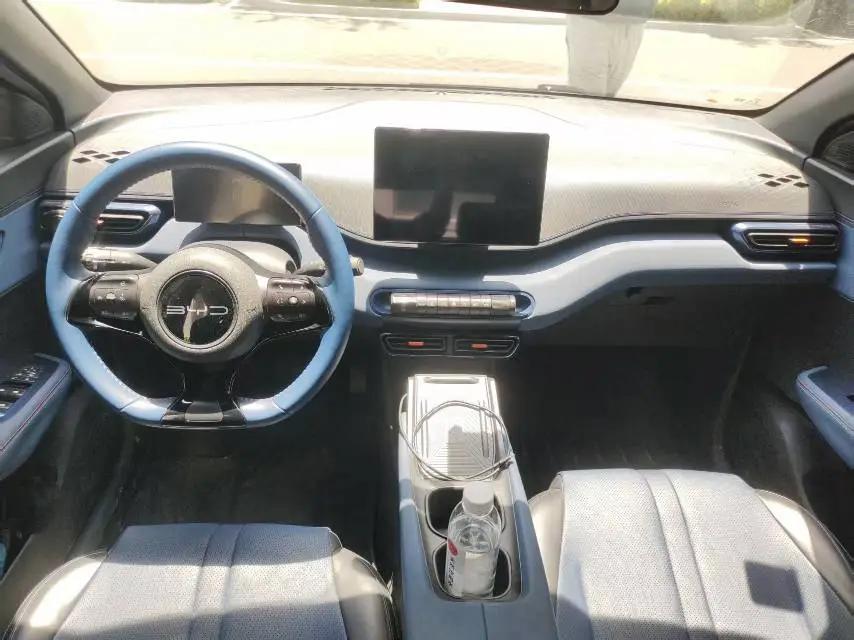 BYD 2023 seagull flying version automatic gear 4