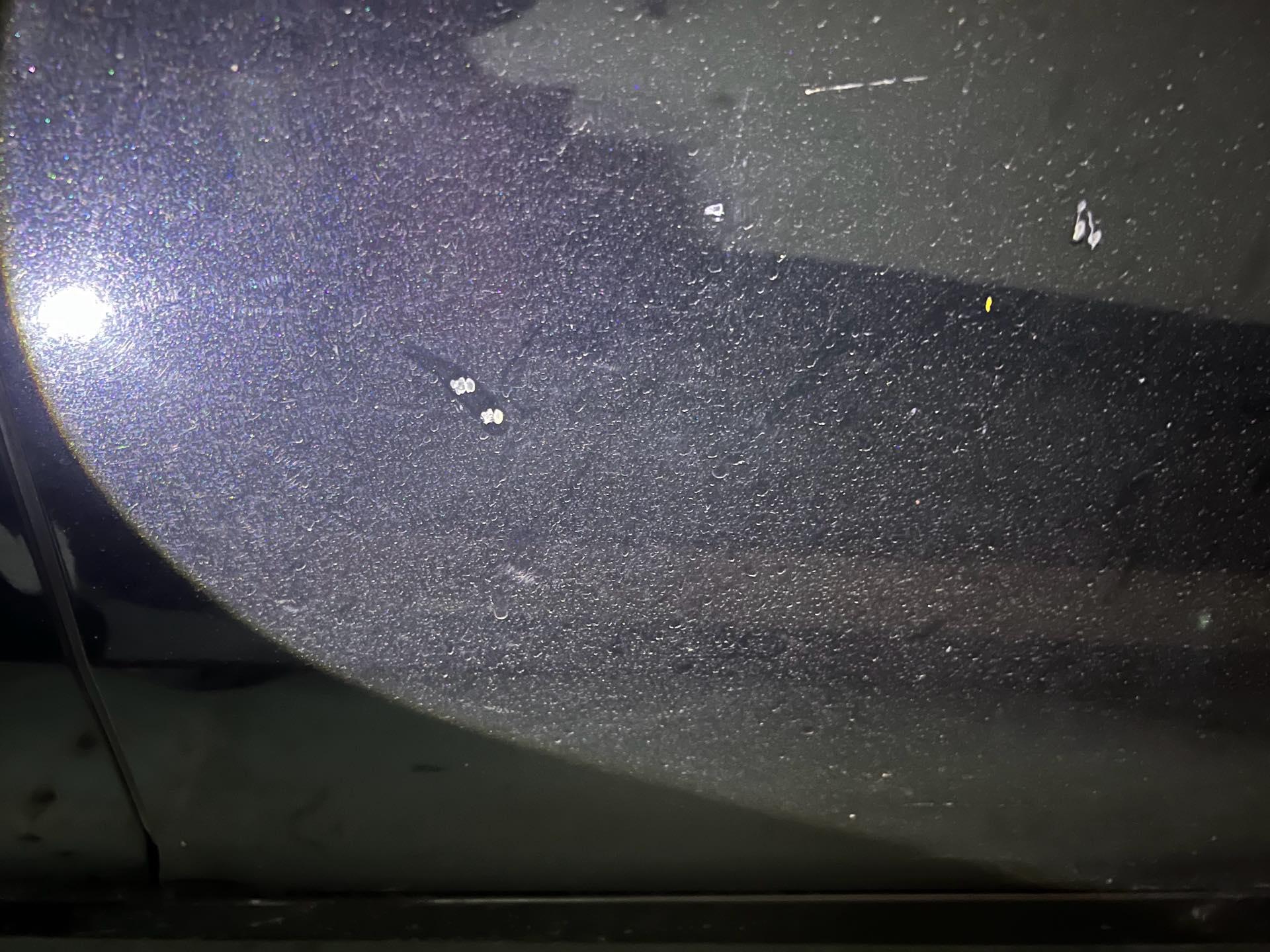 Asian dragon 2019 2.5L Touring distinguished edition national v 7