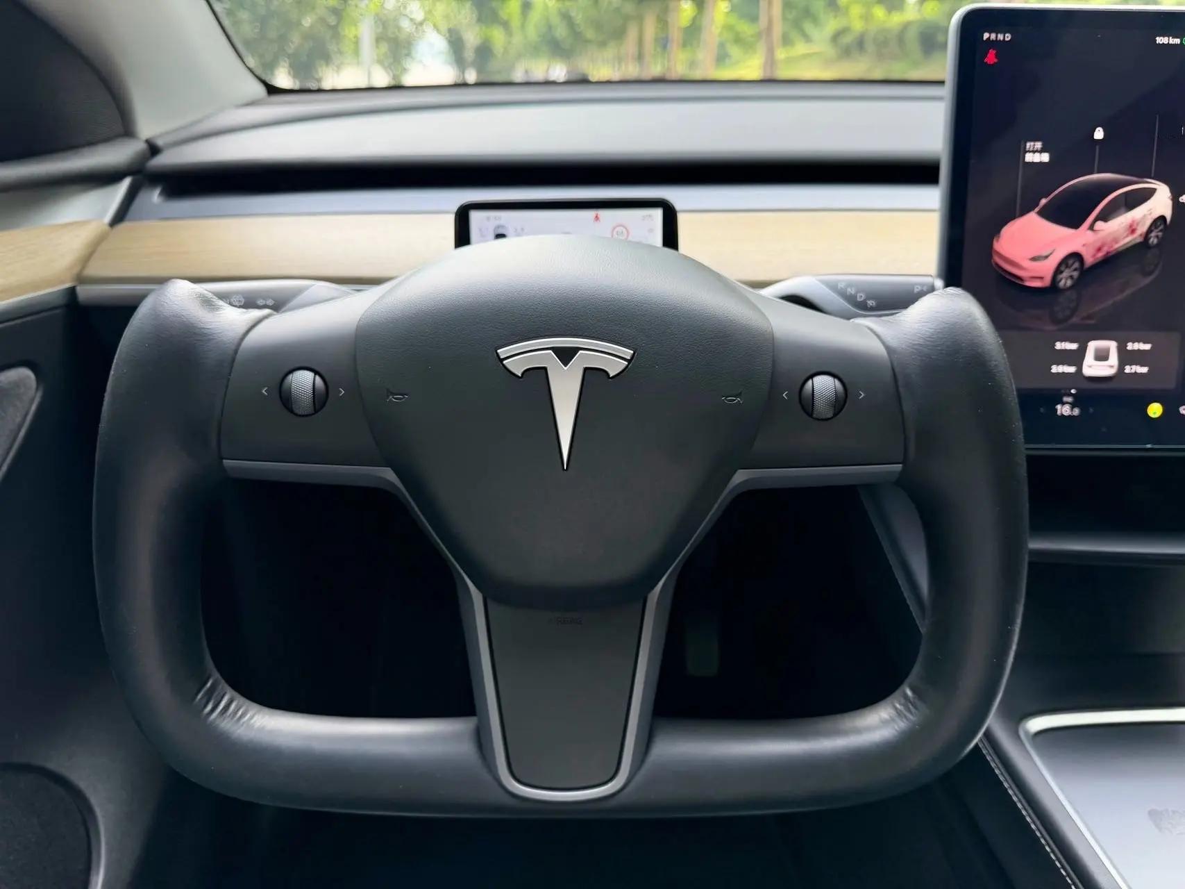 2022 Model Y Facelift Rear-Wheel Drive Version 6