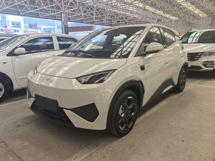 BYD 2025 Seagull Intelligent Driving Version 305km Free Edition Automatic