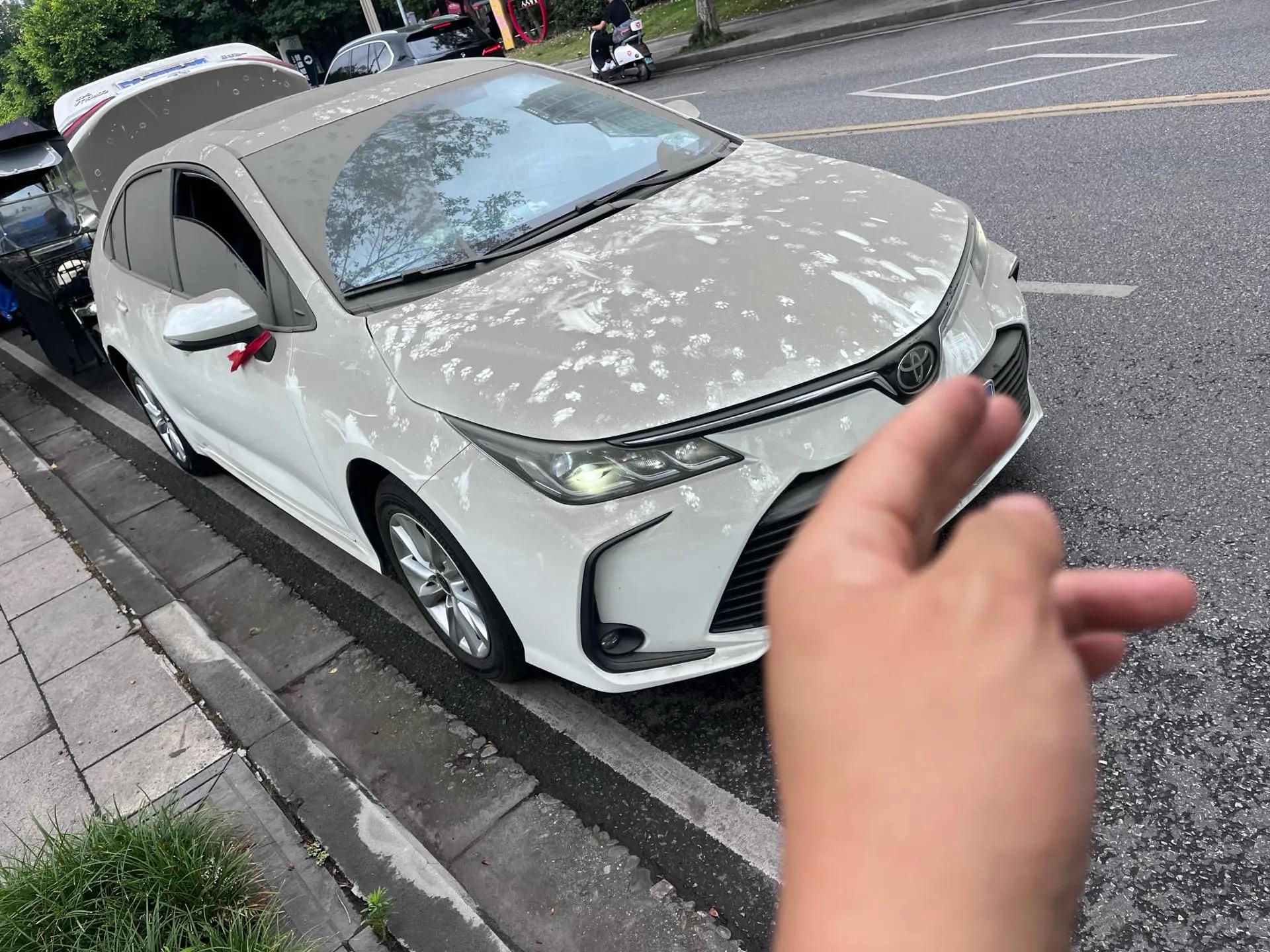 Toyota 2024 corolla 1.2T stepless elite version of automatic gear 2
