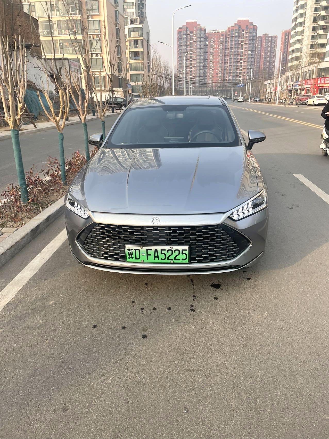 Qin PLUS 2021 DM-i 120KM Honorable Model 2