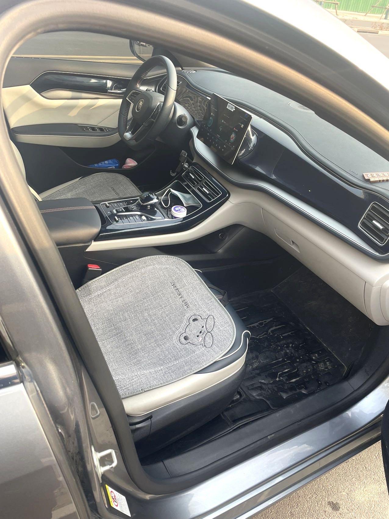 Qin PLUS 2021 DM-i 120KM Honorable Model 4