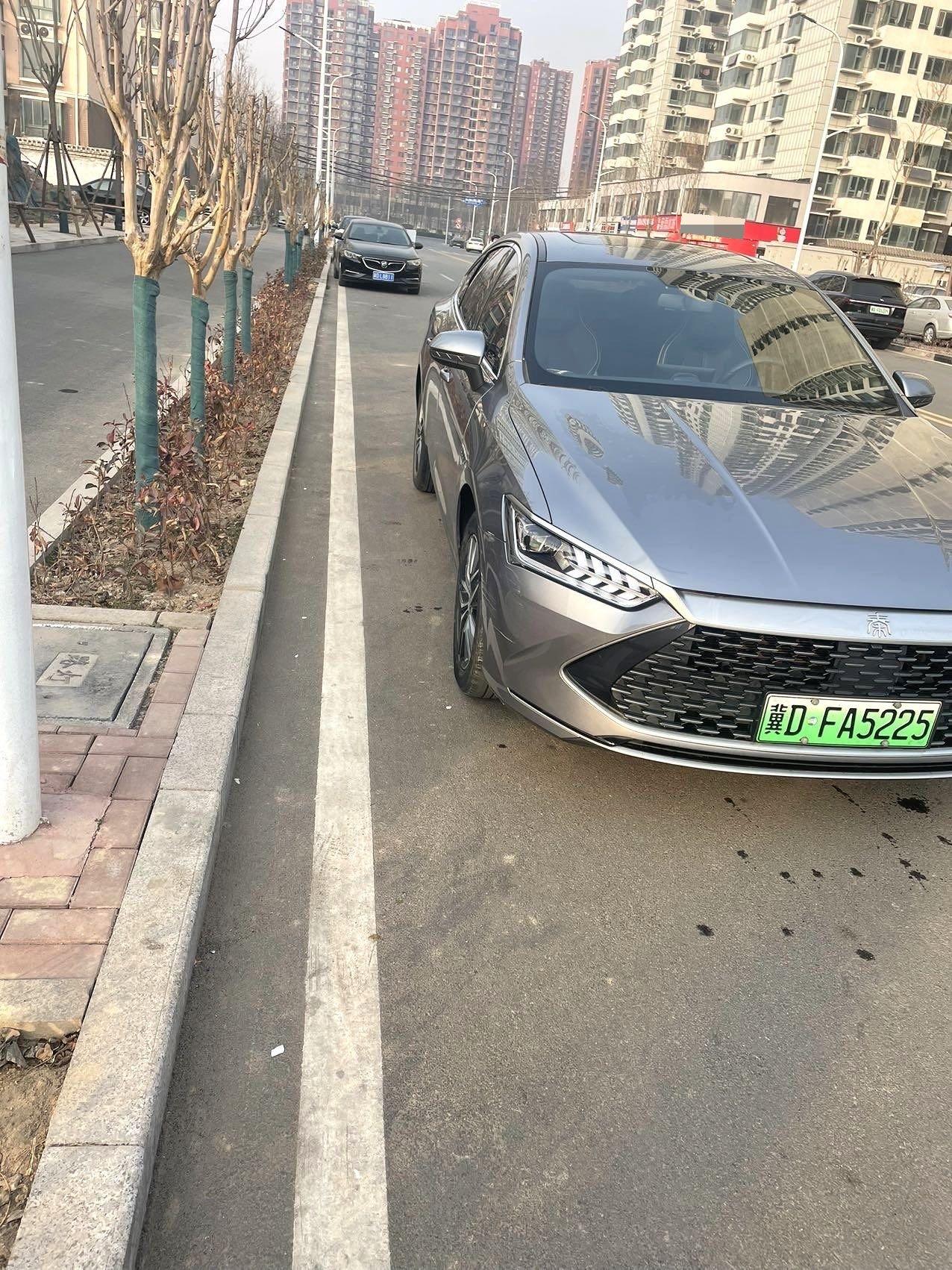 Qin PLUS 2021 DM-i 120KM Honorable Model 5
