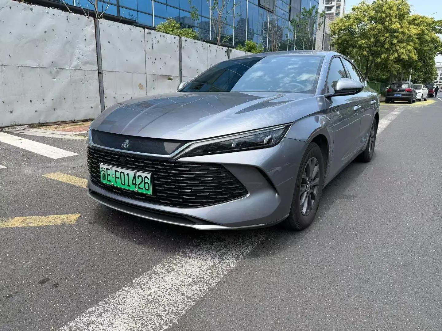 Qin L 2024 DM-i 80km Leading Edition