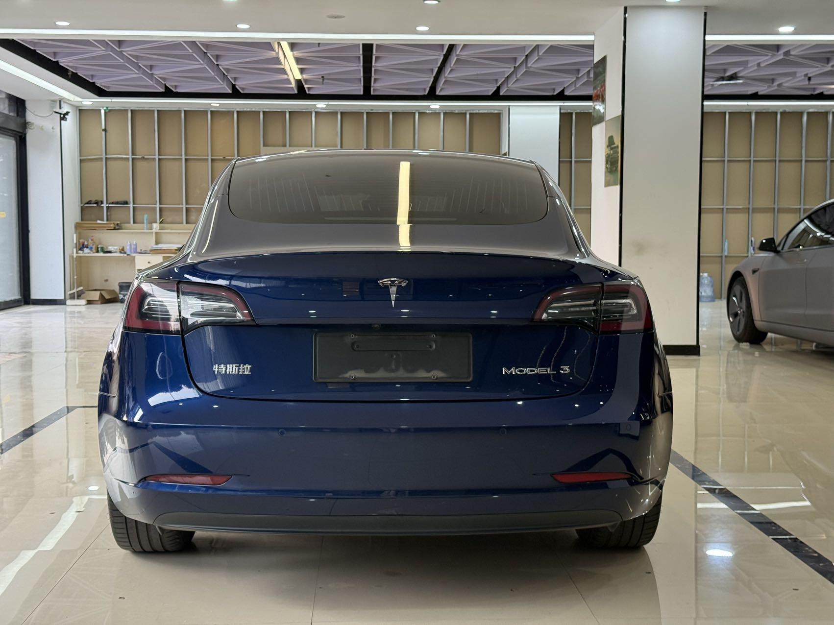 Model 3 2020 Standard Endurance Rear Drive Upgrade 5