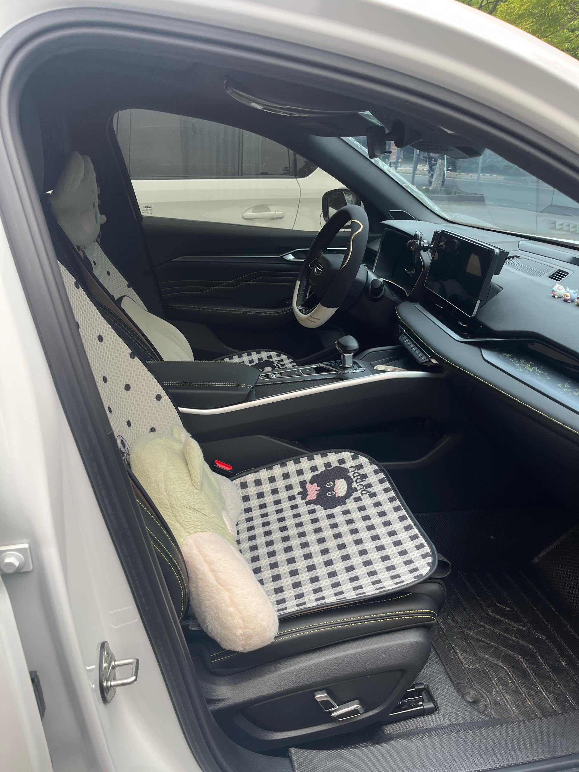 Xingrui 2023 1.5TD Kunlun Edition 3
