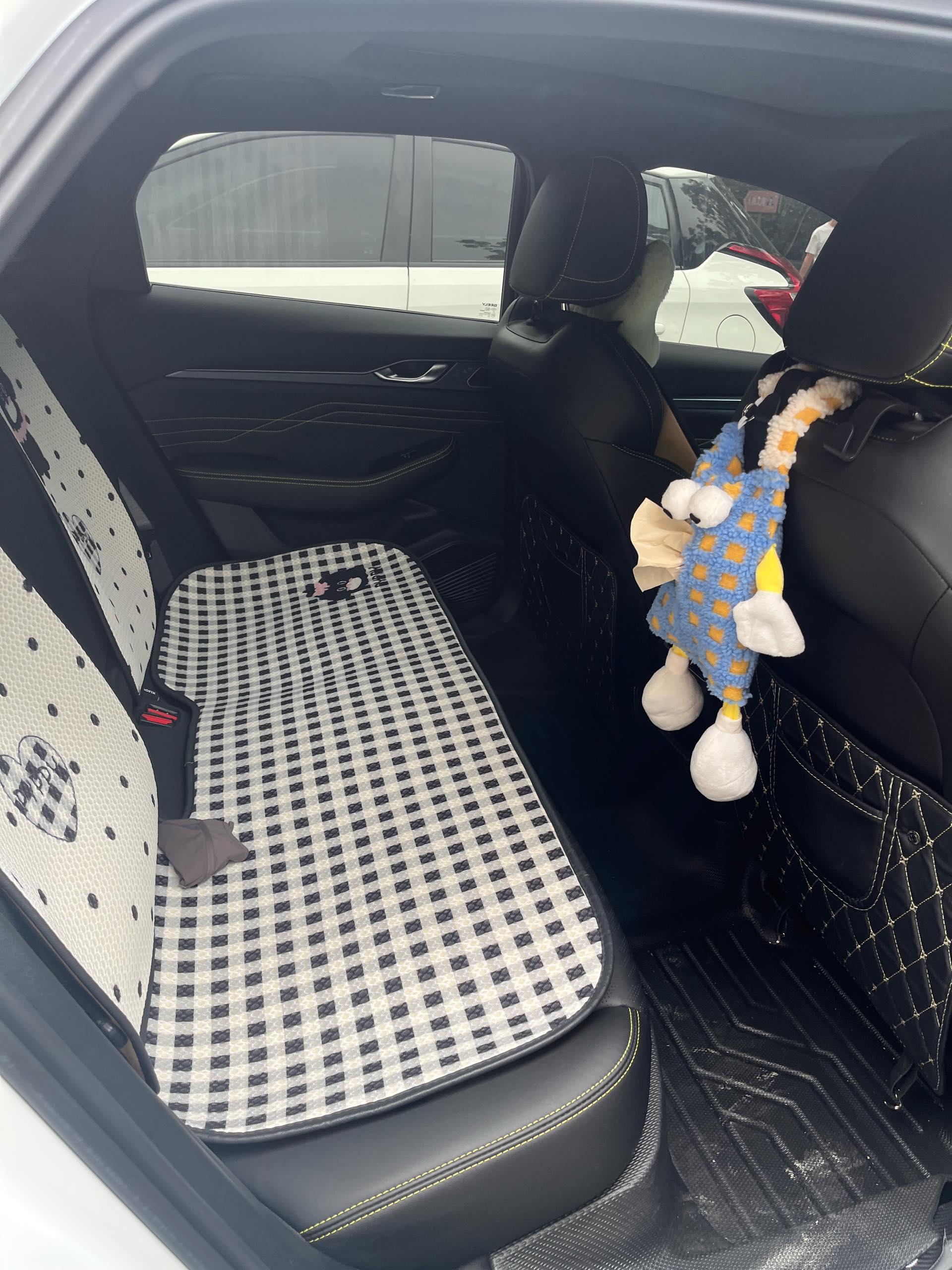 Xingrui 2023 1.5TD Kunlun Edition 4