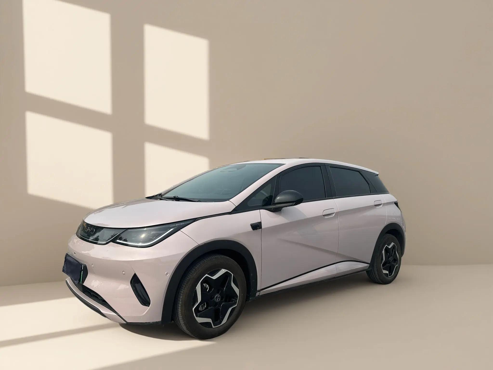 BYD 2025 Dolphin Intelligent Driving Edition 420km Free Edition Automatic