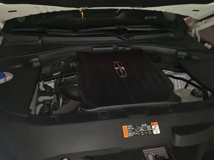 Flying Home 2020 3.0T V6 4-wheel Drive Premium Edition 10