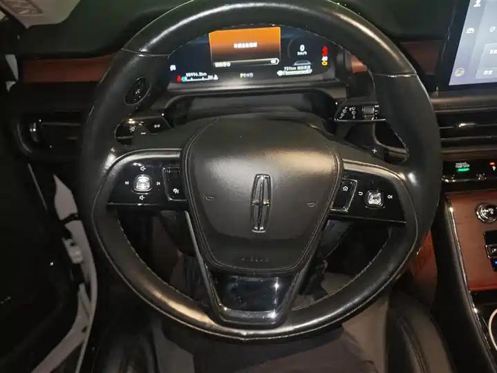 Flying Home 2020 3.0T V6 4-wheel Drive Premium Edition 15