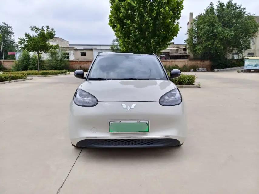 WuLing 2025 Plantronics 333km Enjoy Automatic Gear 2