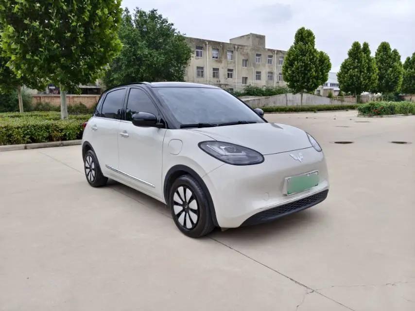 WuLing 2025 Plantronics 333km Enjoy Automatic Gear 3