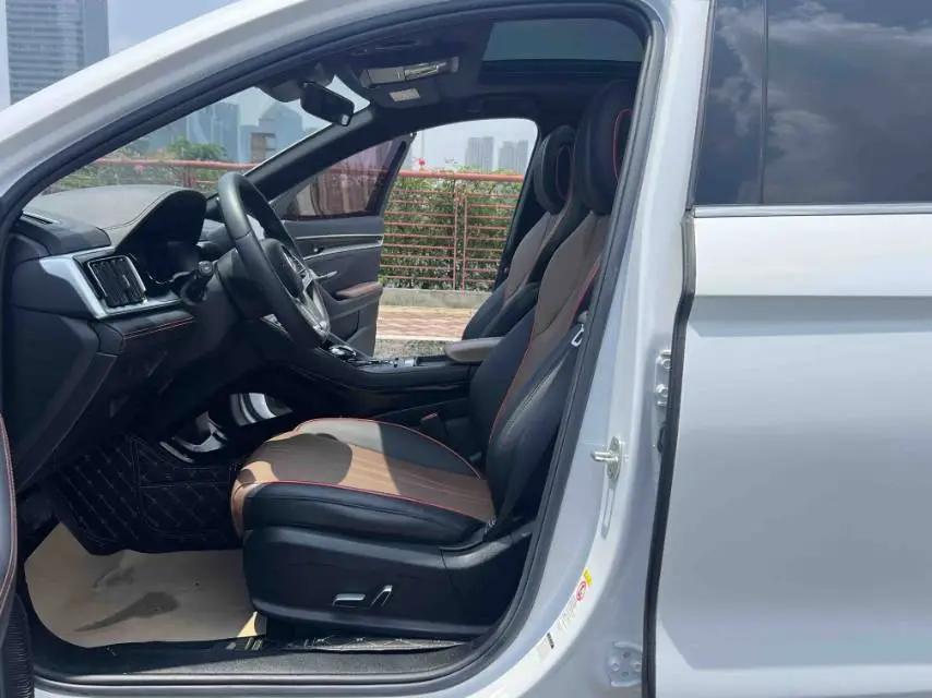 Song PLUS 2020 1.5T Automatic Flagship 4