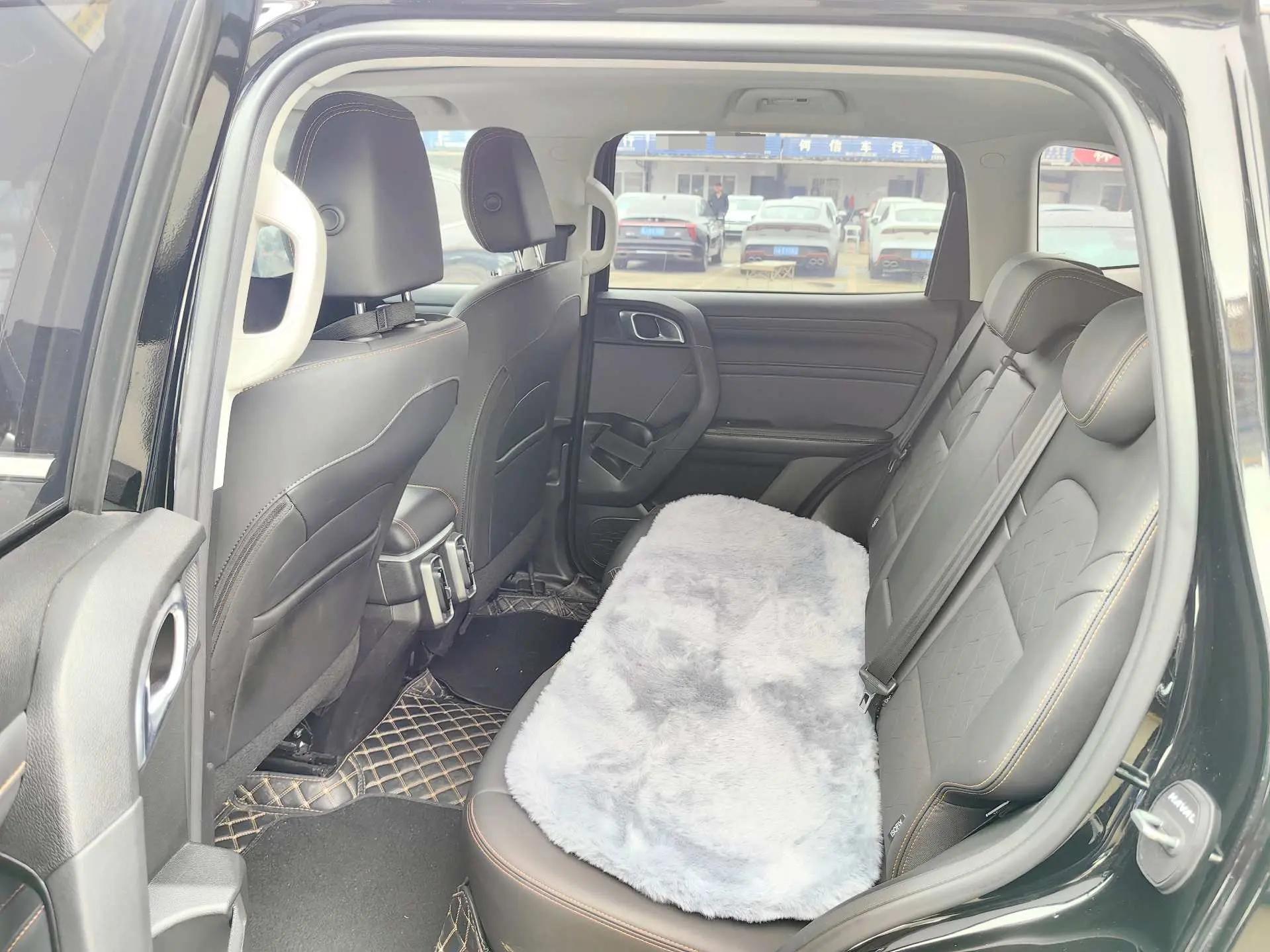 Haval 2024 Dog 1.5T Border Collie Edition Automatic 11