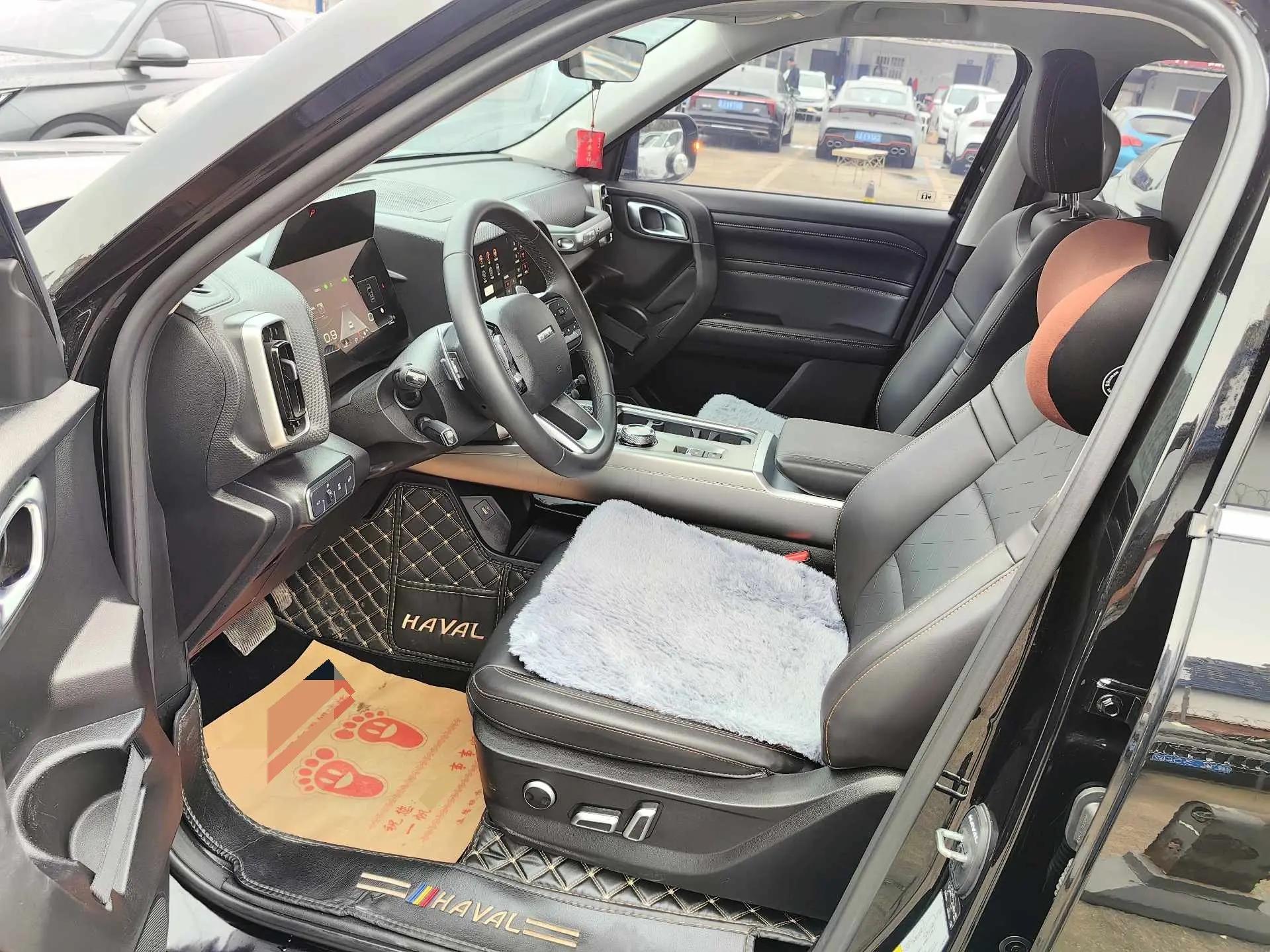 Haval 2024 Dog 1.5T Border Collie Edition Automatic 4