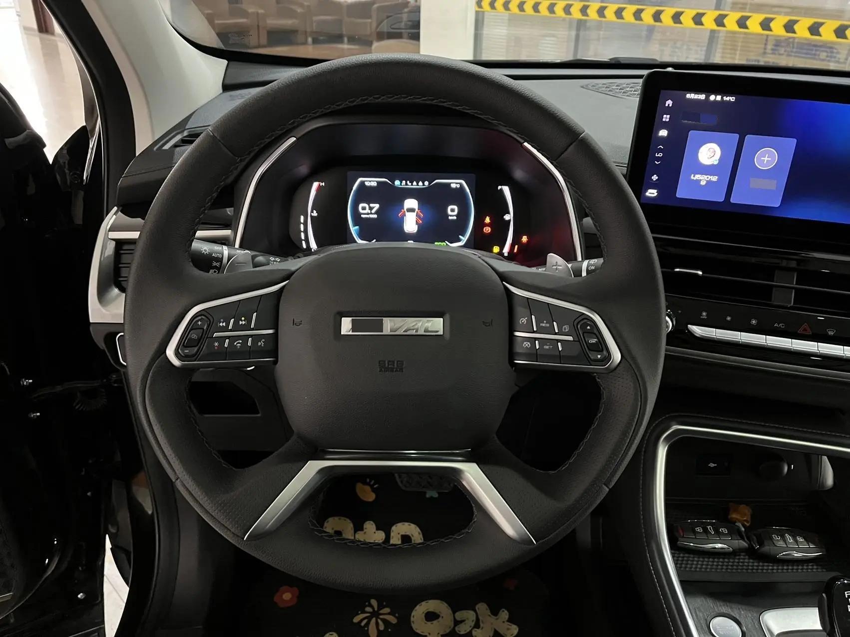 Haval H6 2021 National Tide Edition 1.5T Auto Champion Edition 12