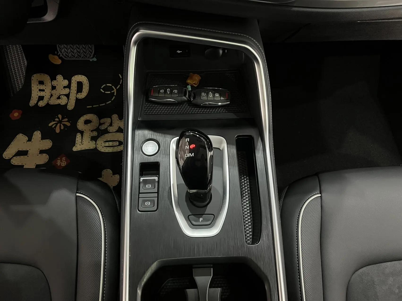Haval H6 2021 National Tide Edition 1.5T Auto Champion Edition 13