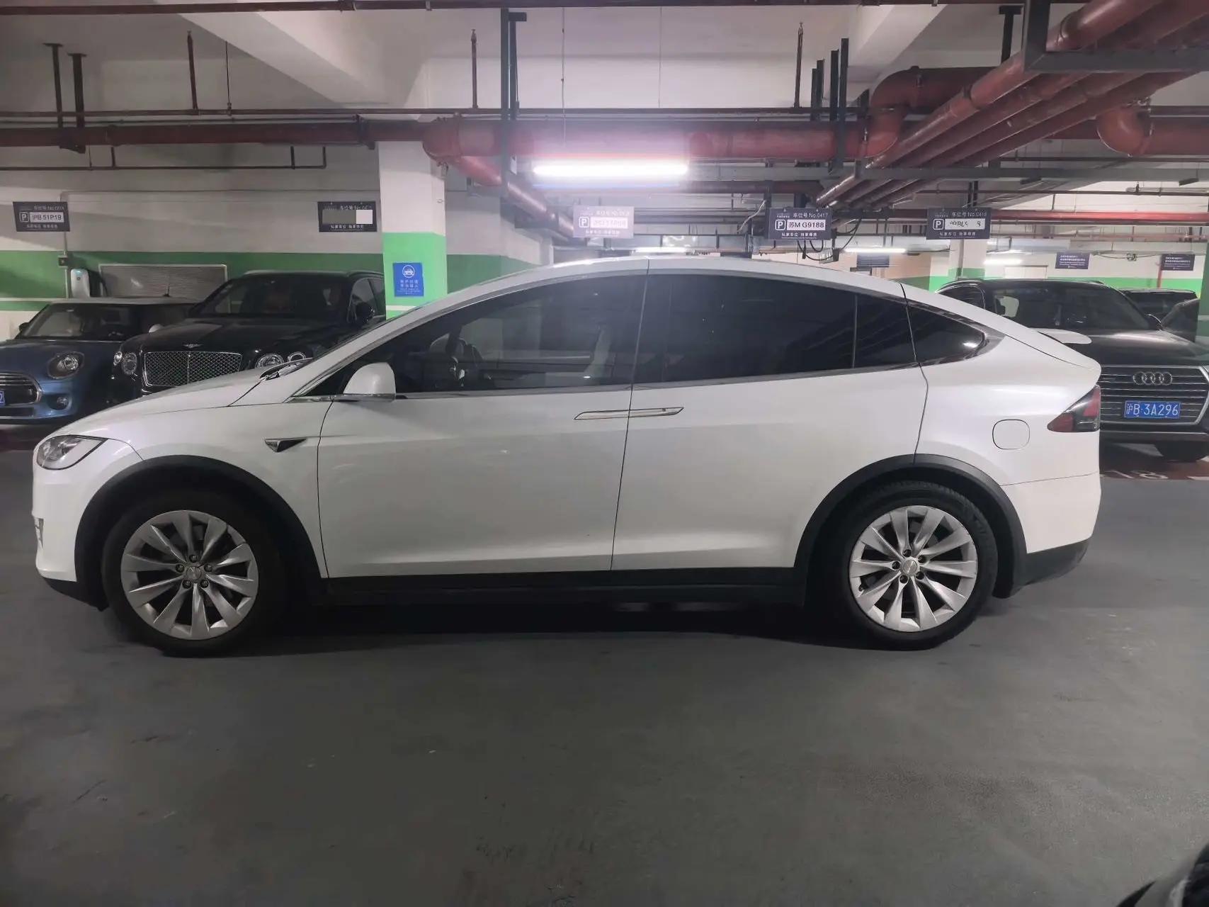 Model X 2019 Long Life Edition 2