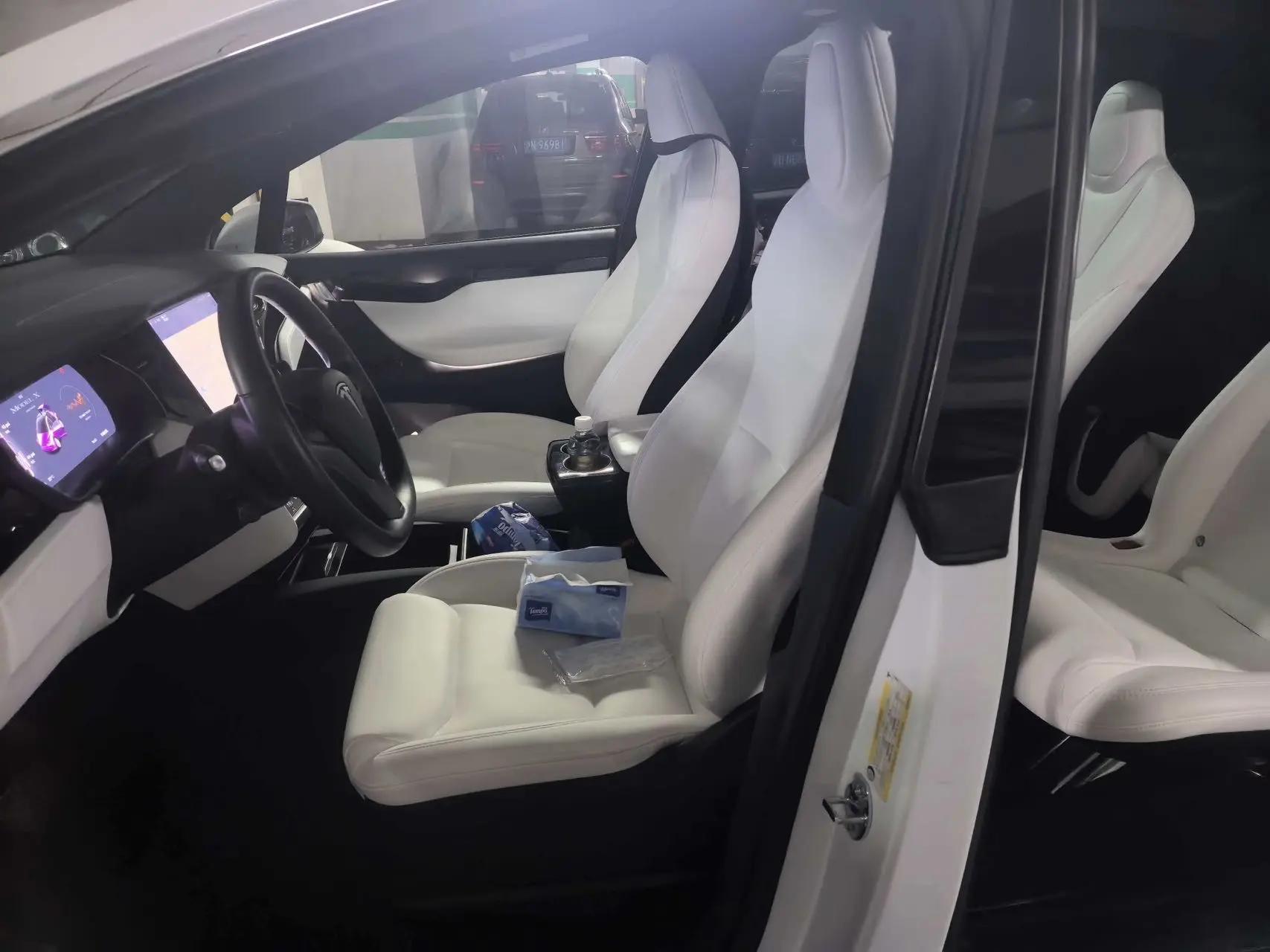 Model X 2019 Long Life Edition 4