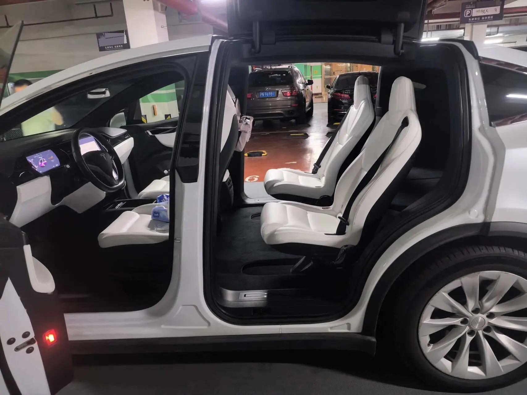 Model X 2019 Long Life Edition 5