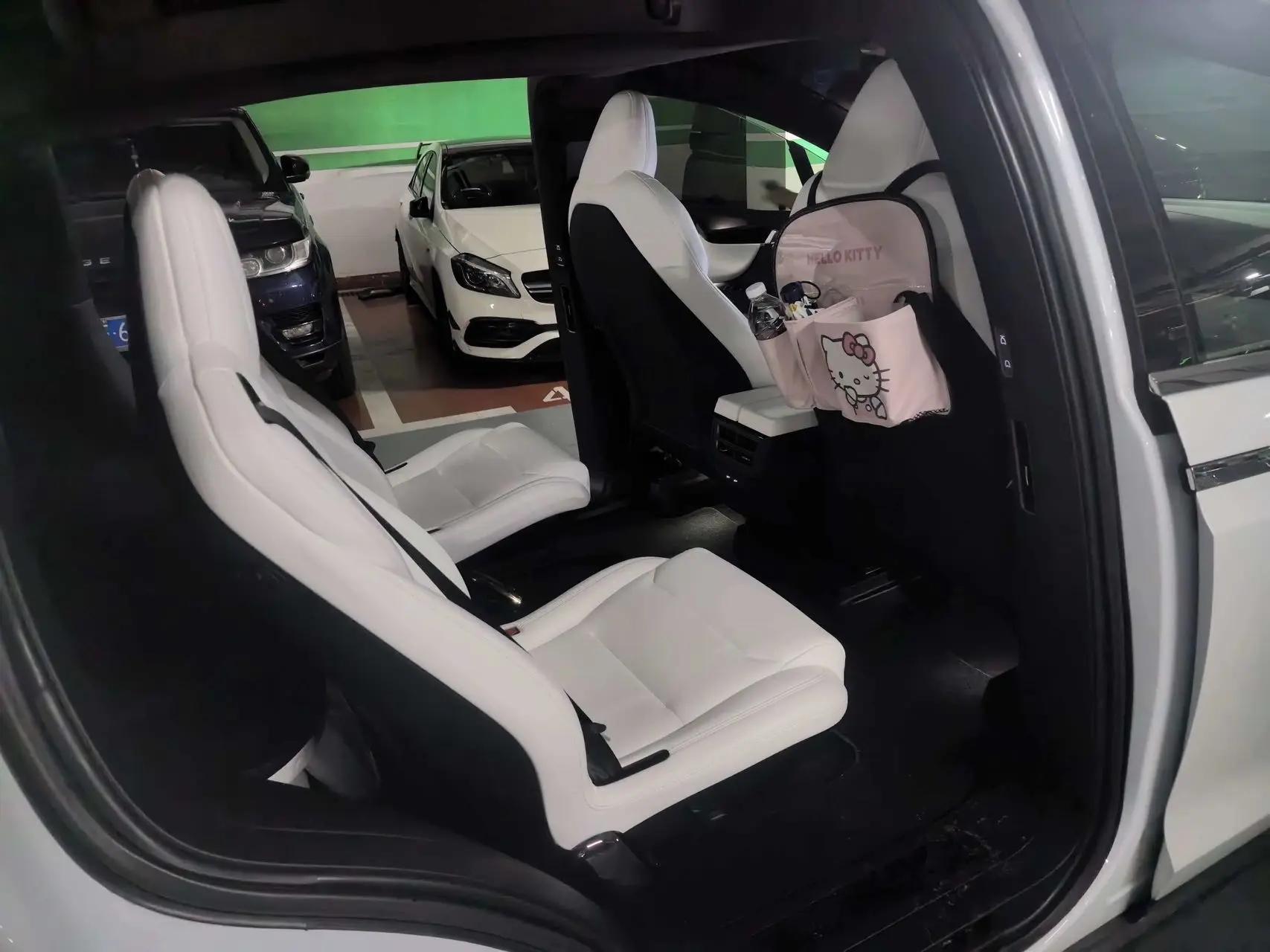 Model X 2019 Long Life Edition 6