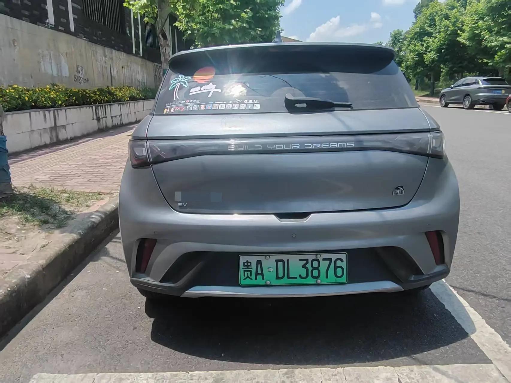 BYD 2023 Dolphin 420km Fashion Edition Automatic 2
