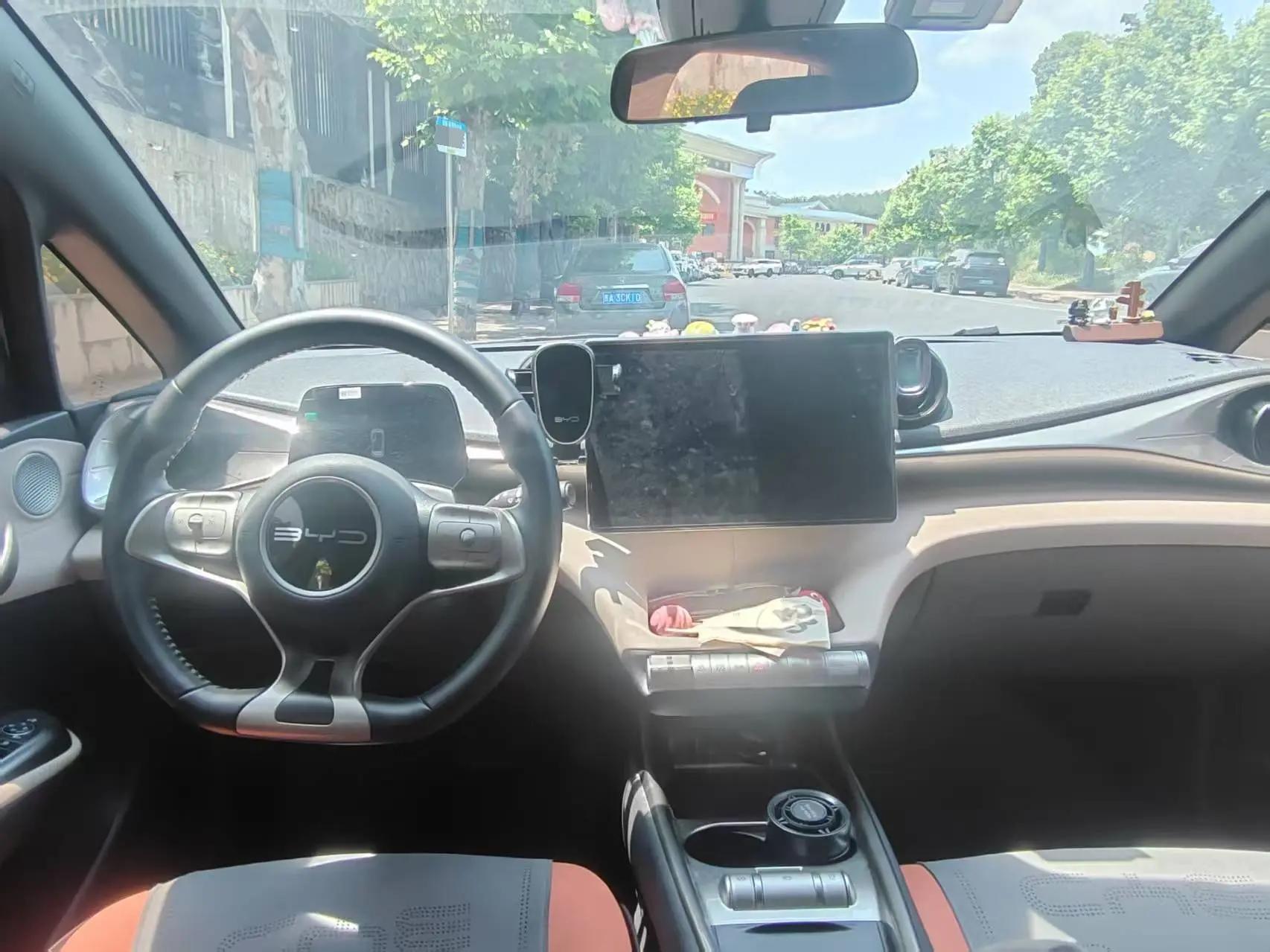BYD 2023 Dolphin 420km Fashion Edition Automatic 3