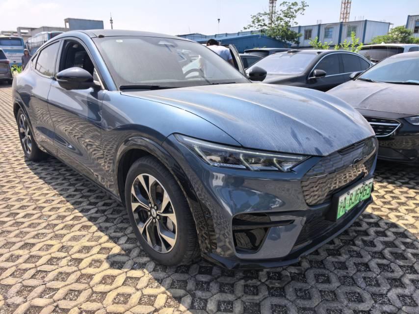 Ford Electric Horse 2021 Borderless Rear Drive Deluxe Edition (Long Endurance) 2