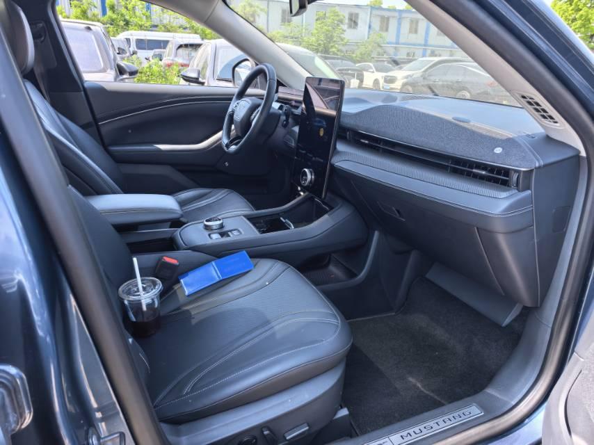 Ford Electric Horse 2021 Borderless Rear Drive Deluxe Edition (Long Endurance) 3