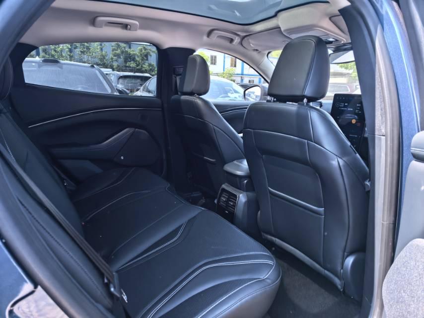 Ford Electric Horse 2021 Borderless Rear Drive Deluxe Edition (Long Endurance) 4