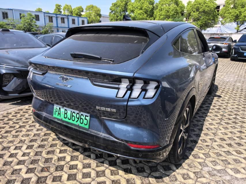 Ford Electric Horse 2021 Borderless Rear Drive Deluxe Edition (Long Endurance) 6