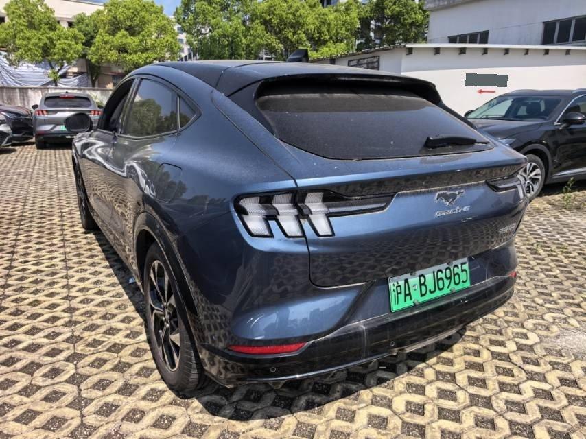 Ford Electric Horse 2021 Borderless Rear Drive Deluxe Edition (Long Endurance) 7