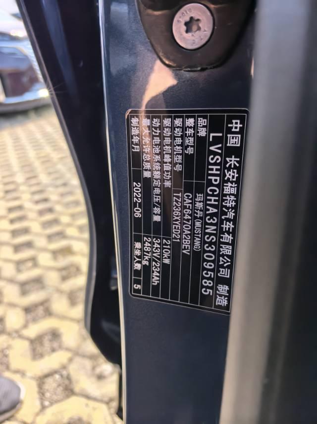 Ford Electric Horse 2021 Borderless Rear Drive Deluxe Edition (Long Endurance) 8