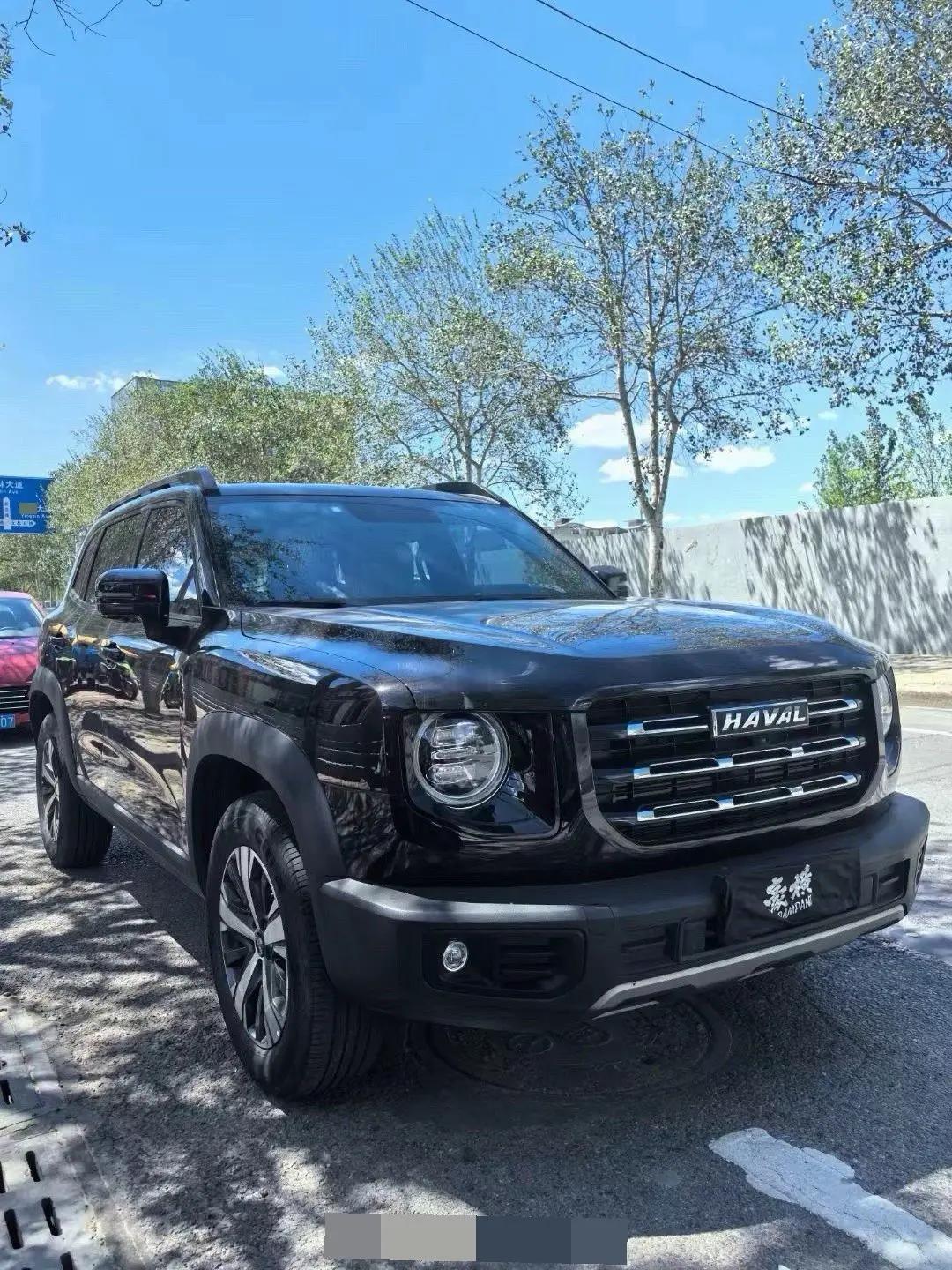 Haval Big Dog 2021 1.5T DCT Two-Drive Border Animal Husbandry-Wangcai Edition 3