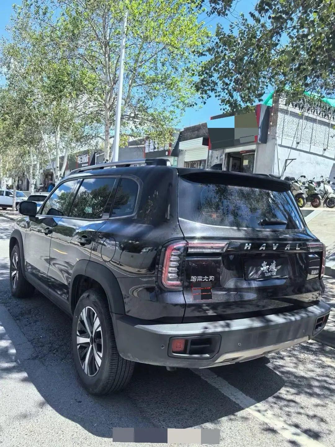 Haval Big Dog 2021 1.5T DCT Two-Drive Border Animal Husbandry-Wangcai Edition 4