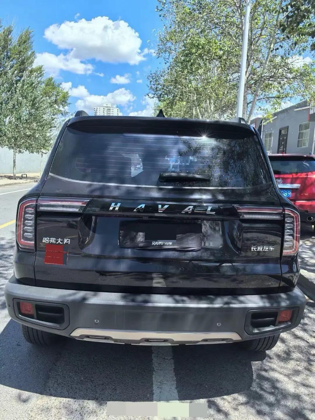 Haval Big Dog 2021 1.5T DCT Two-Drive Border Animal Husbandry-Wangcai Edition 5