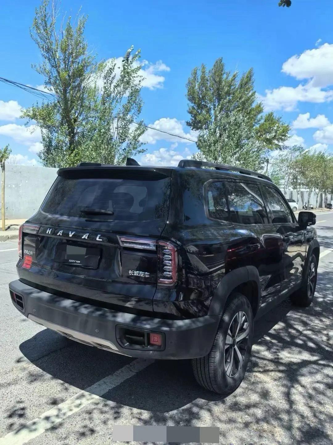 Haval Big Dog 2021 1.5T DCT Two-Drive Border Animal Husbandry-Wangcai Edition 6