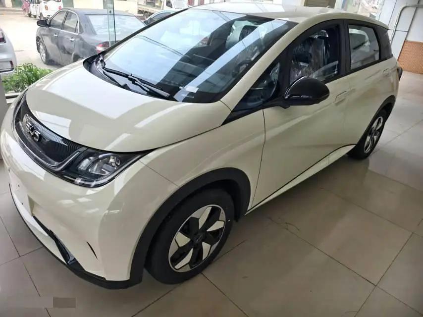 BYD 2025 Dolphin 420km Freedom Edition Automatic