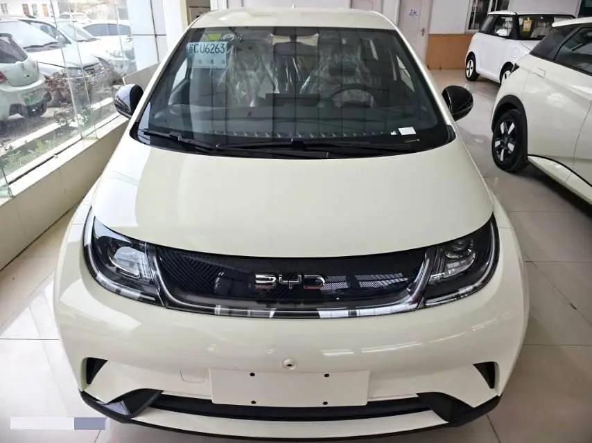 BYD 2025 Dolphin 420km Freedom Edition Automatic 2