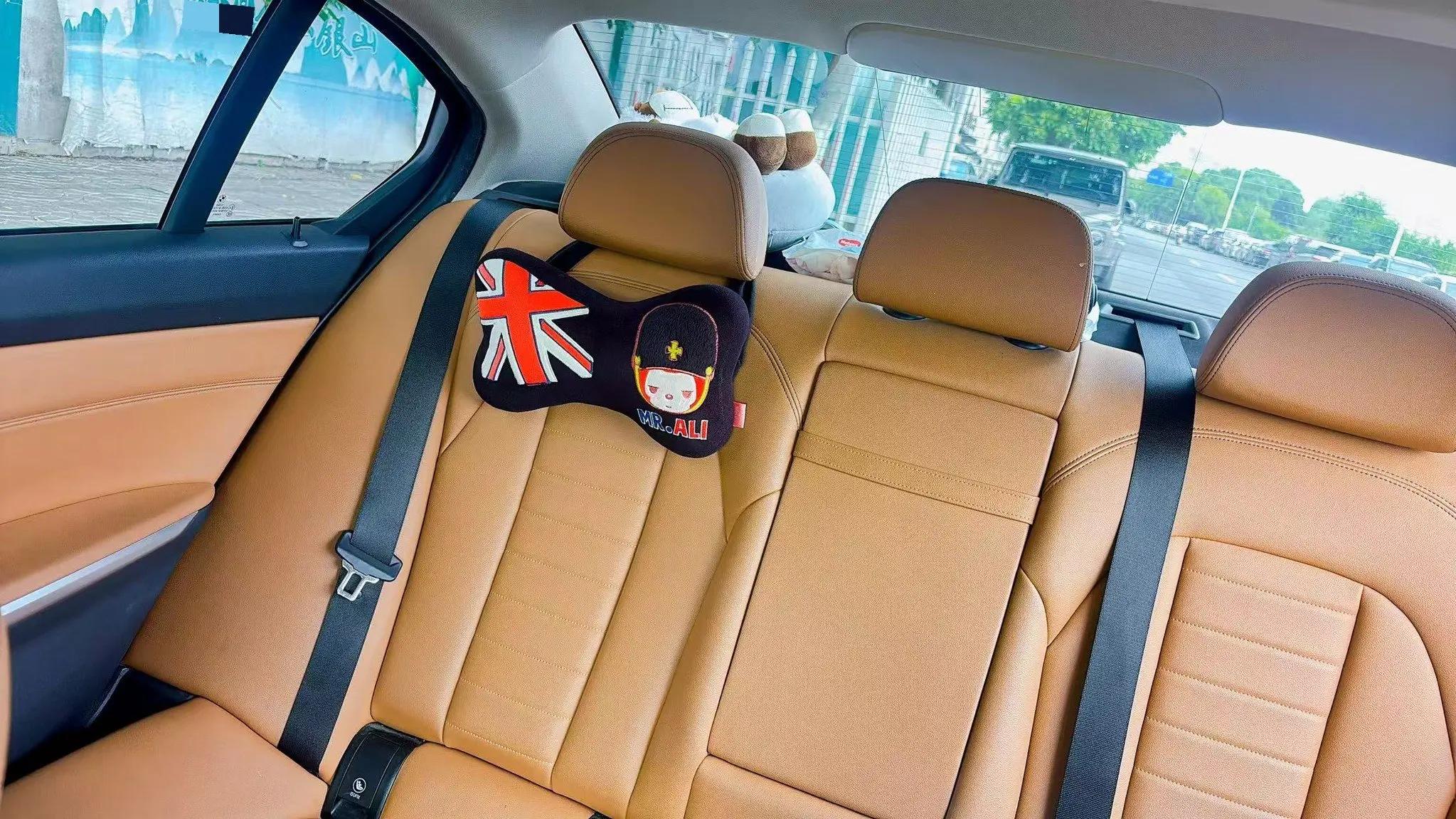 BMW 3 Series 2020 325Li M Sports Night Suit 6