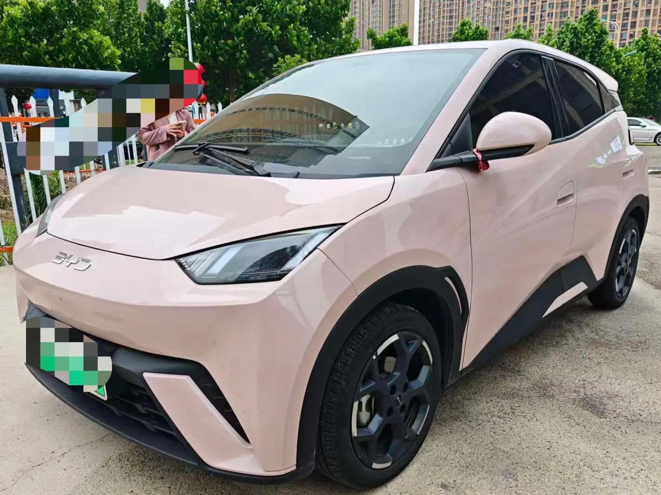 BYD 2024 Seagull Glory Edition 405km Flying Edition Automatic Gear