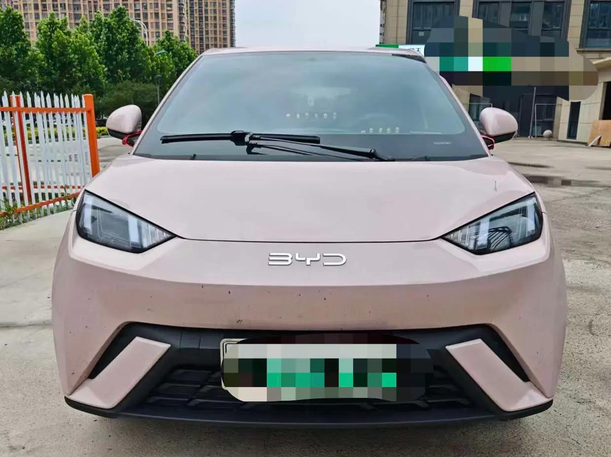 BYD 2024 Seagull Glory Edition 405km Flying Edition Automatic Gear 2