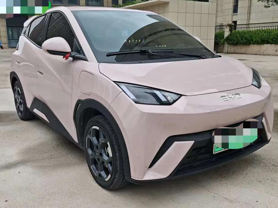 BYD 2024 Seagull Glory Edition 405km Flying Edition Automatic Gear 3