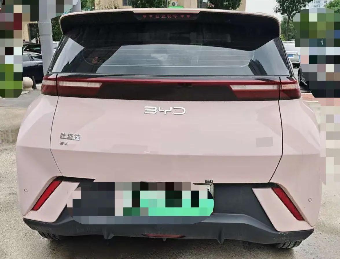 BYD 2024 Seagull Glory Edition 405km Flying Edition Automatic Gear 5